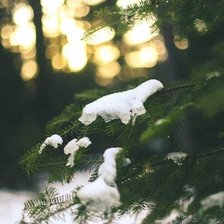 Схема вышивки «ель»