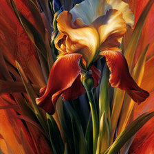 Схема вышивки «цветок ирис»