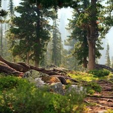 Схема вышивки «Лес»