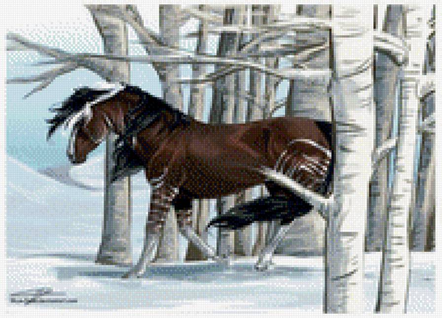 Конь в лесу - снег, лошади, лес - предпросмотр