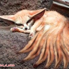 Схема вышивки «девятихвостый лисёнок»