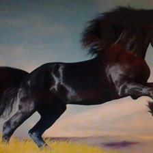 Схема вышивки «конь»