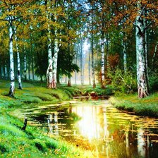 лесное озеро