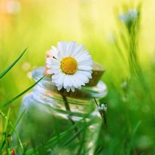 Схема вышивки «№545165»