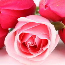 Схема вышивки «№545319»