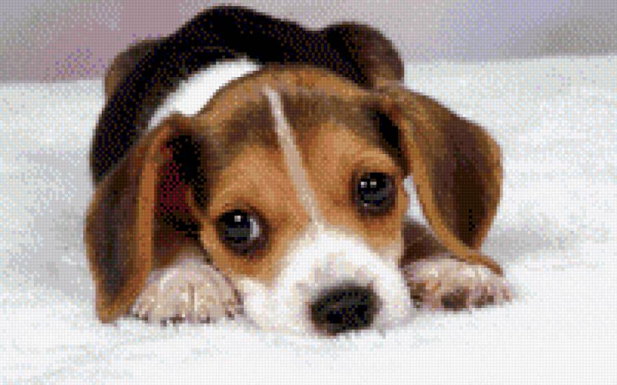 Скучно! - зима, пес.собака - предпросмотр