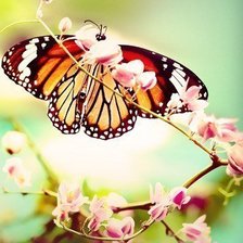 Схема вышивки «№545931»