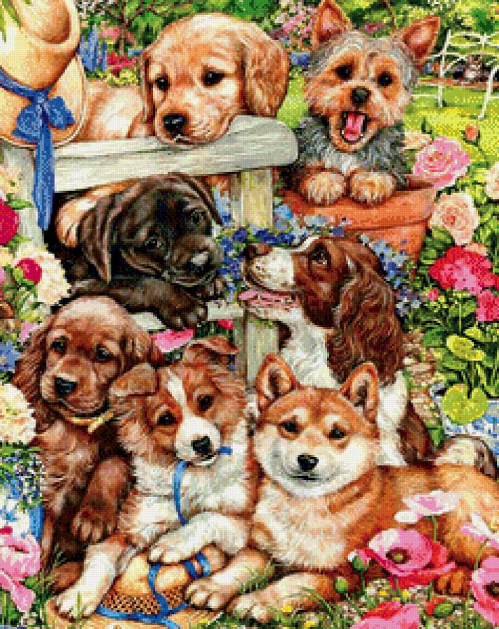 Домашние питомцы - собаки, животные - предпросмотр