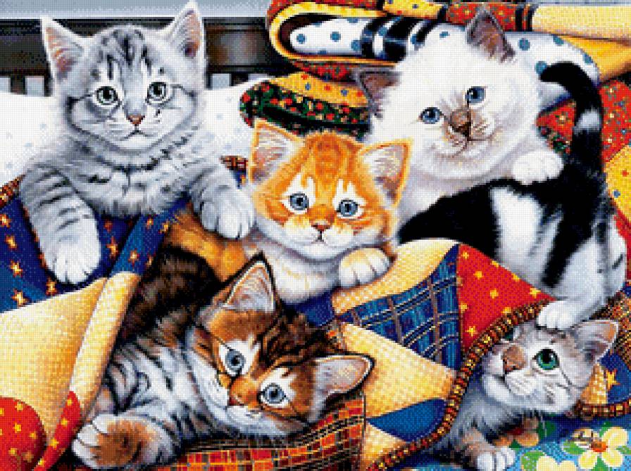 Домашние питомцы - животные, кошки - предпросмотр