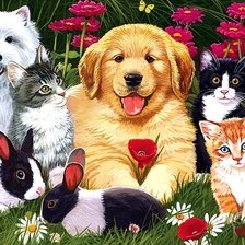 Домашние питомцы