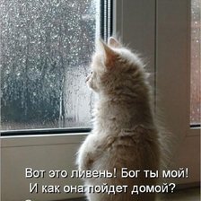 Схема вышивки «ЭТО НЕ СХЕМА  -   ПРОСТО ОЧЕНЬ КРАСИВО»