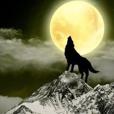 Схема вышивки «Волк»