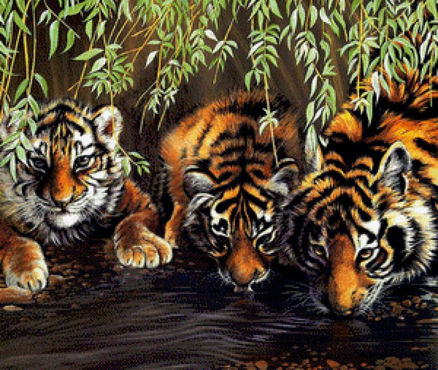 Тигрята - тигры, тигрята, животные - предпросмотр