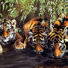 Схема вышивки «Тигрята»