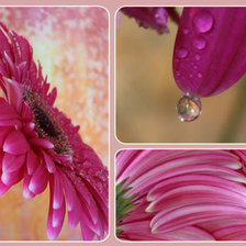 Схема вышивки «№546081»