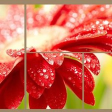 Схема вышивки «№546084»