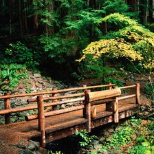 Схема вышивки «мост»