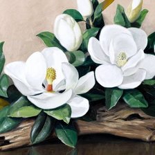 Схема вышивки «натюрморт с магнолией»