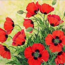 Схема вышивки «маки»