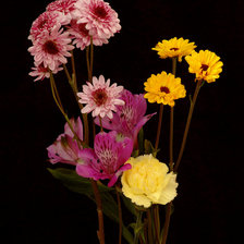 Схема вышивки «Букет цветов»