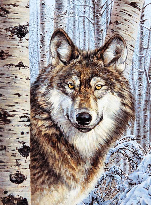 Волк - животные, снег, зима - оригинал