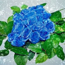 Схема вышивки «Розы»