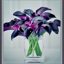 Схема вышивки «Каллы»