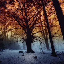 Схема вышивки «№546515»