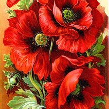 Схема вышивки «маки»