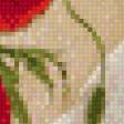 Предпросмотр схемы вышивки «маки» (№546620)