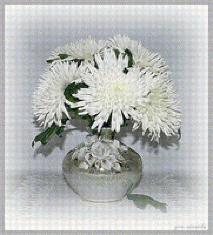 астры - астры, цветы - предпросмотр