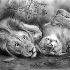 Схема вышивки «львы монохром»