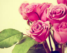 Схема вышивки «Розы»