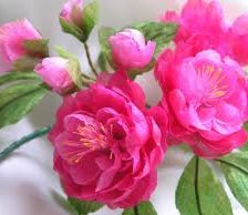 Схема вышивки «Красные пионы»