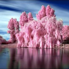 Схема вышивки «Потрясающяя природа»