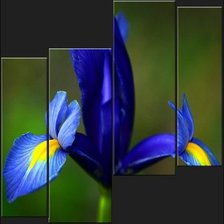 Схема вышивки «№547059»