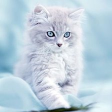 Схема вышивки «№547066»