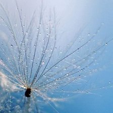 Схема вышивки «№547072»