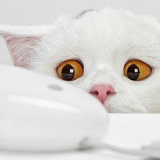 Схема вышивки «№547086»