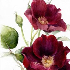 Схема вышивки «акварель»