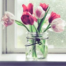 Схема вышивки «тюльпаны»