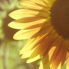 Схема вышивки «№547197»