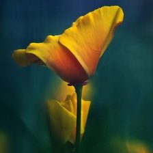 Схема вышивки «№547203»