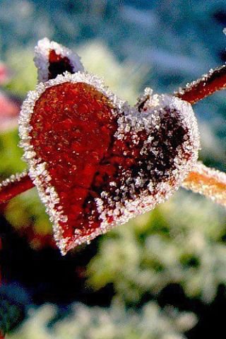 Лист - зима, любовь, лист - оригинал