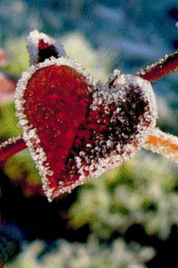 Лист - любовь, зима, лист - предпросмотр