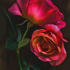 Схема вышивки «розы»