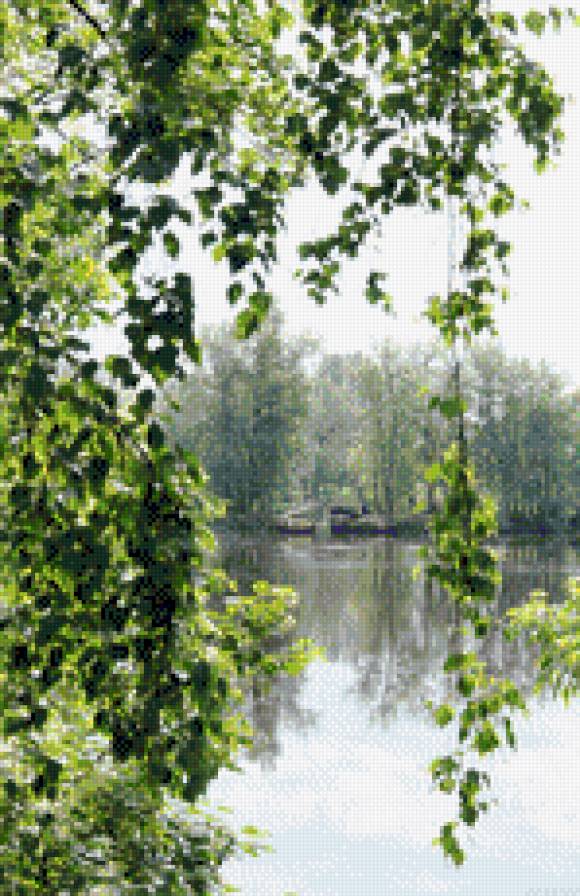 Береза у реки - у реки, береза - предпросмотр