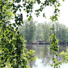 Схема вышивки «Береза у реки»