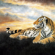 Схема вышивки «тигр»