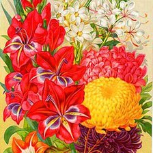 Схема вышивки «цветы»